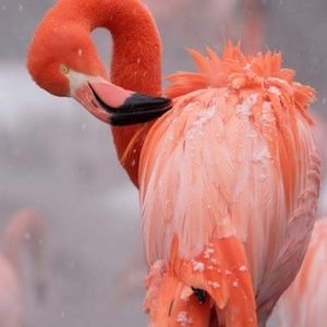 Meet your Posher, Barbara